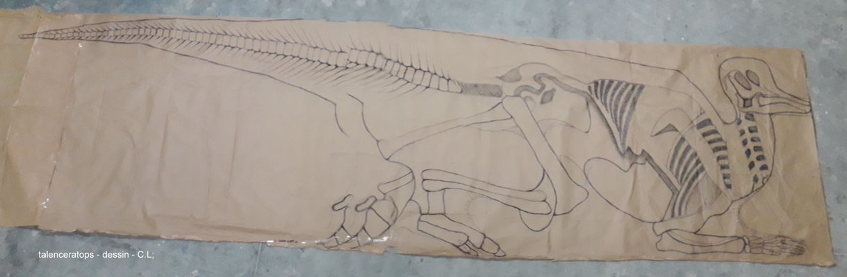 Talenceratops - corythosaurus- sculpture jeu - dessin préparatoire C.Lacroix