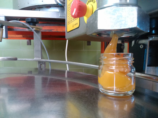 Cremiger Honig wird in ein 250g Glas gefüllt