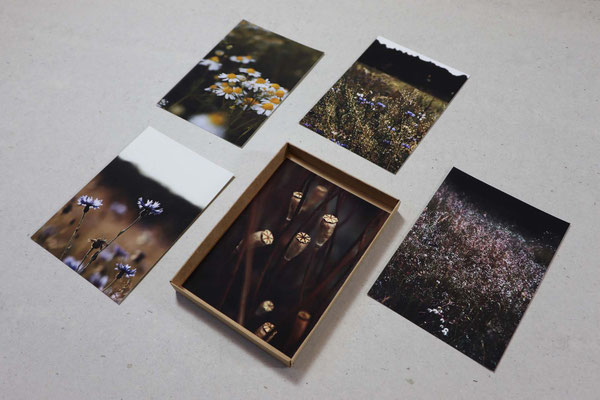 Mit diesen zarten Fotoboxen kannst du ein kleines Stück Natur verschenken