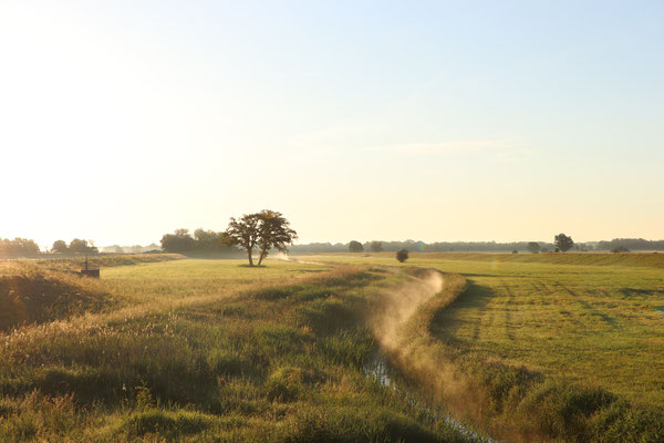 Morgennebel in der Altmark quer - Prints, Poster, Naturfotografie von Malina Bura
