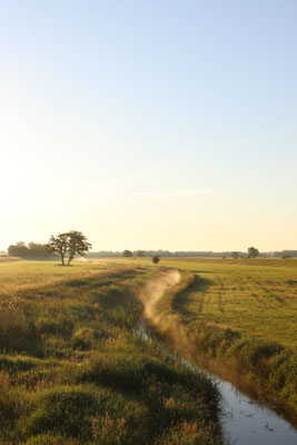 Morgennebel in der Altmark - Prints, Poster, Naturfotografie von Malina Bura