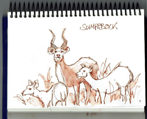 Sumpfbock - Naturhistorisches Museum Bern