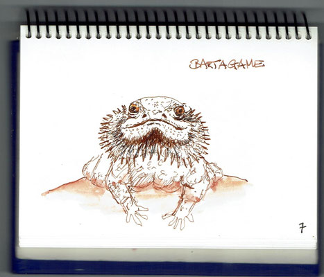Bartagame - Naturhistorisches Museum Bern
