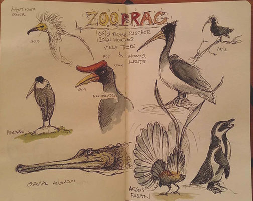 Zoo in Prag