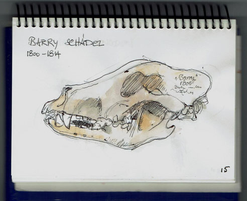 Barry Schädel - Naturhistorisches Museum Bern
