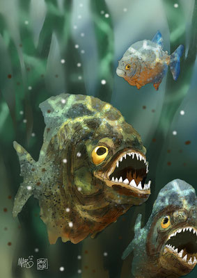 Piranhas