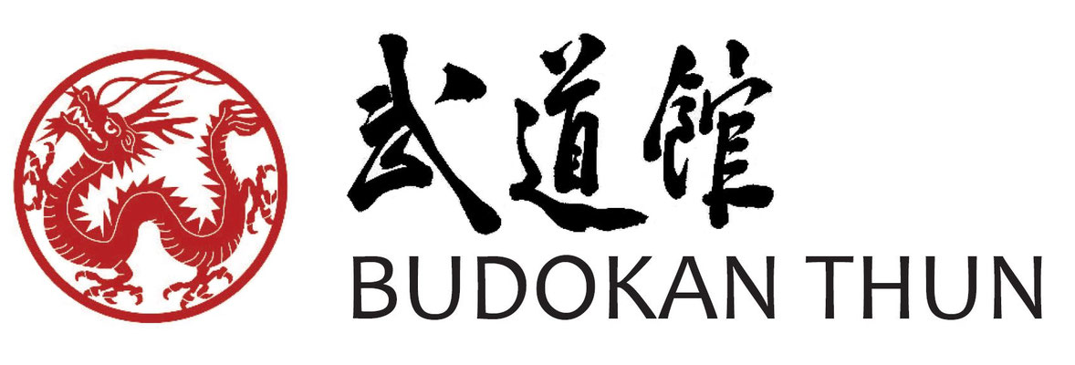 Logo Budokan Projekt 
