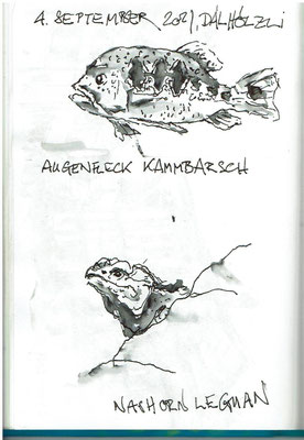 Dälhölzli Bern