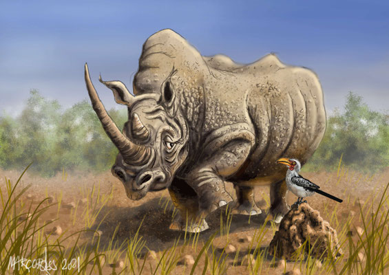 ängstliches Nashorn