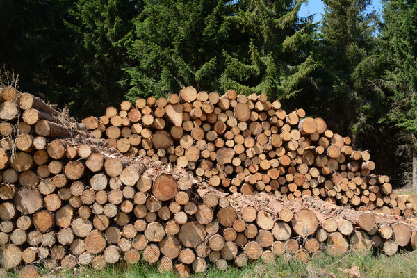 Le bois (essentiellement bois bûche) représente la moitié de la production d’énergie renouvelable du territoire.