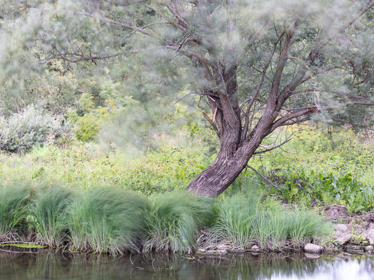 Wo Land und Wasser sich begegnen