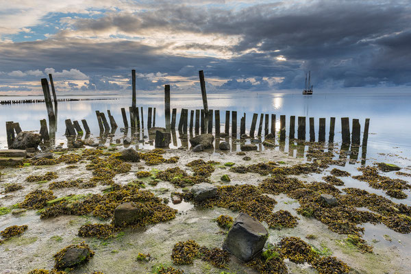 Alter Hafen De Cocksdorp