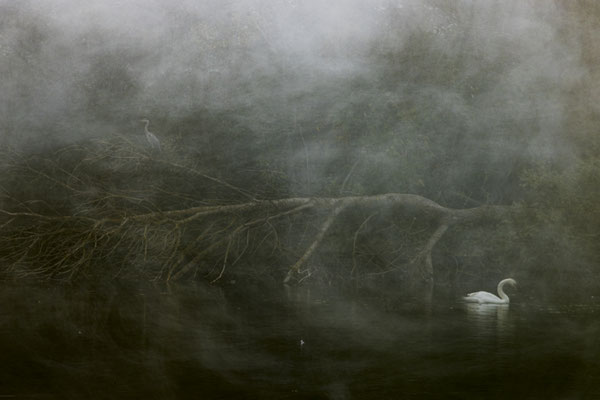 Wo Land und Wasser sich begegnen