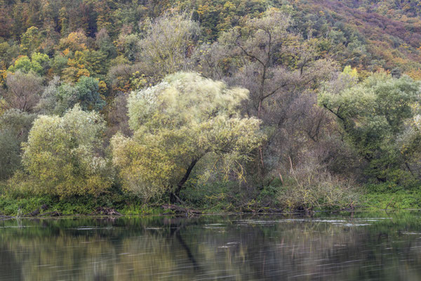 Wo Land und Wasser sich begegnen