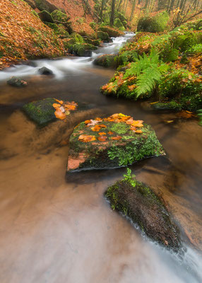 Karlstalschlucht