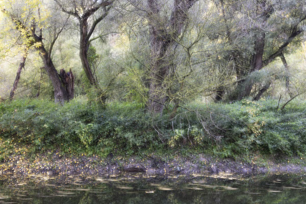 Wo Land und Wasser sich begegnen