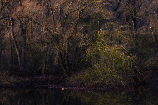 Wo Land und Wasser sich begegnen