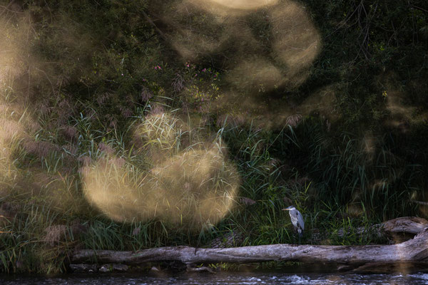 Wo Land und Wasser sich begegnen