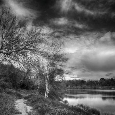 Le Lac de Lescouroux