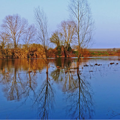 Sur le bord du Lot