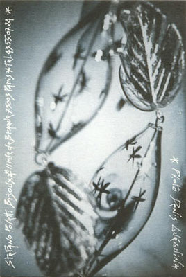 1994 - Immagine: Denis Gueguin