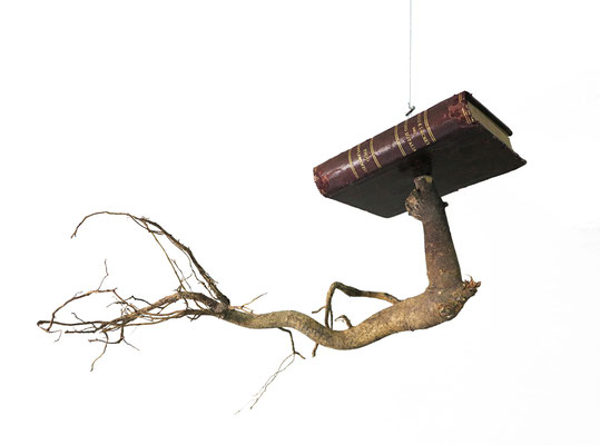 Novecento (Return), 2018 . book and wood . cm 81x58x47urn