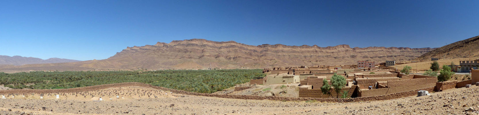 Une partie de la magnifique palmeraie du Drâa