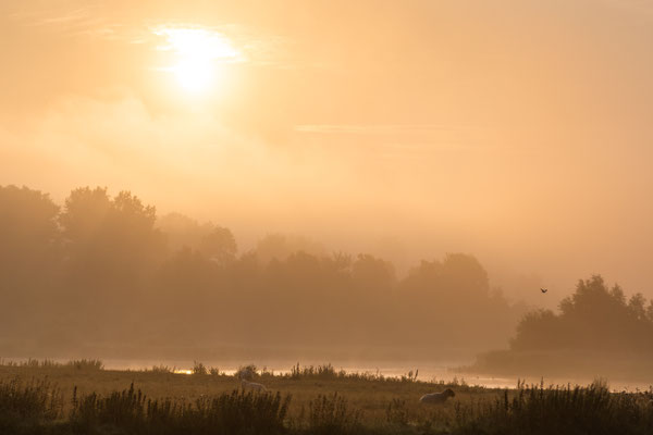 Katinger Watt [100 mm / f4 / ISO 100 / 1/2000 sec.]