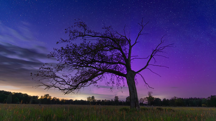 Aurora brandenburgalis [22 mm / f2.8 / ISO 1000 / 30 sec.]