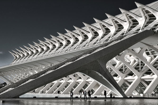 Museu de les Ciències Príncipe Felipe  - Wissenschaftsmuseum