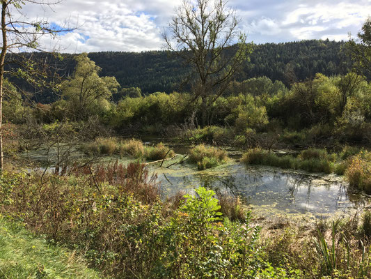 Am Wulfbach nach Mühlheim/Donau