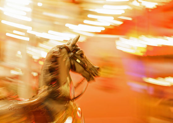 Karussellpferd