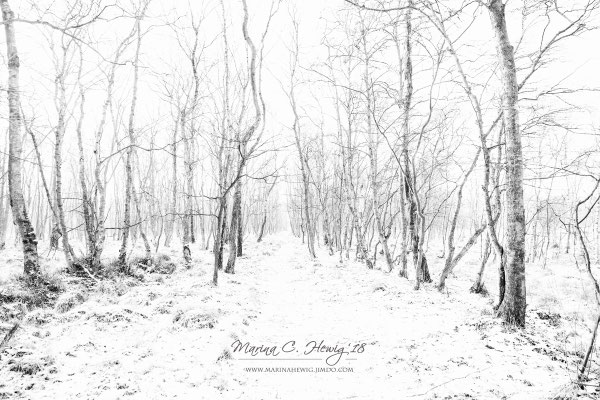 Winterreise