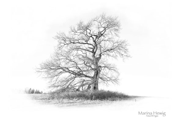 Solitair 21