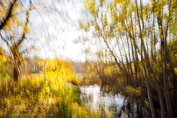Herbstszene (ICM)