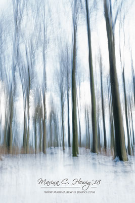 Winterwald (ICM)