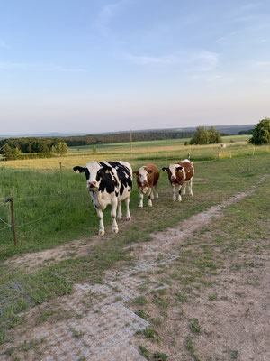 Anjali, Babette und Malina