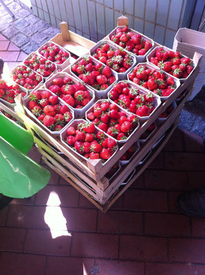 Erdbeeren abgepackt in 500 g Schalen