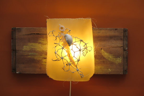 Diepzeeleven 55x40x25cm 325,-