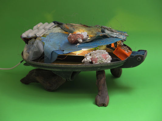 Evolutie van de schildpad 50x40x20cm 475,-