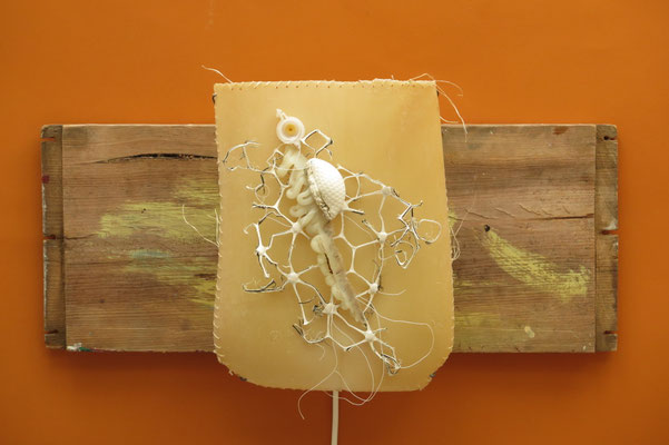 Diepzeeleven 55x40x25cm 325,-