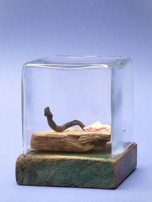 Worm onder glas 16x16x20cm 125,-