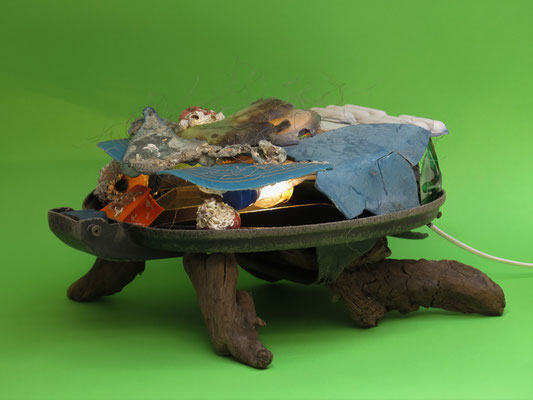 Evolutie van de schildpad 50x40x20cm 475,-