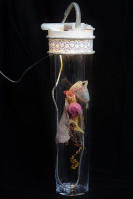 Laboratoriumopstelling (staand) 85x25x25cm 450,-