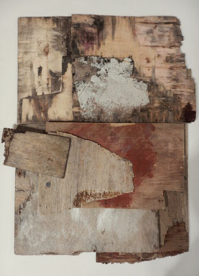 Droom van een wolf 82x65 cm 475,-
