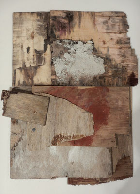 Droom van een wolf 82x65 cm 475,-