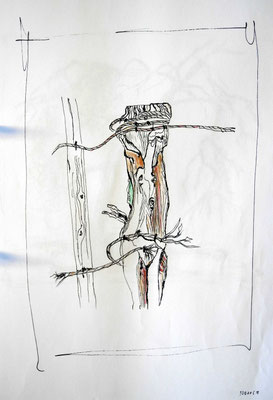 Baum 4