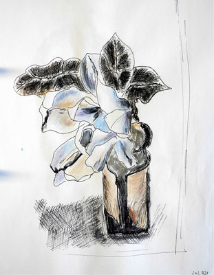 Blumen 1