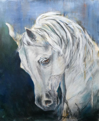 2020/4, Lipizzaner, Acryl, Leinwand, 50x60 cm 