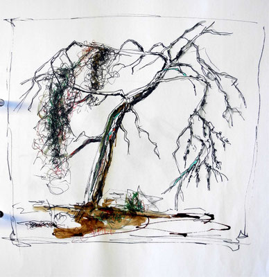 Baum 2